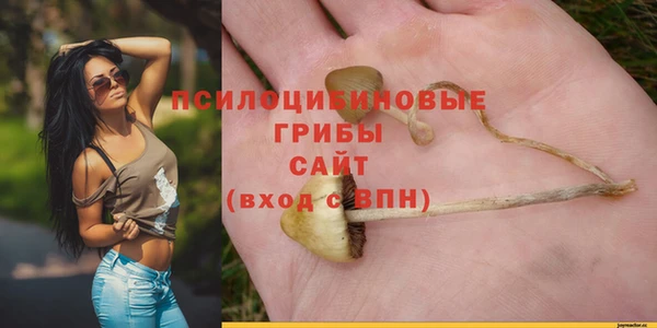 хмурый Алексин