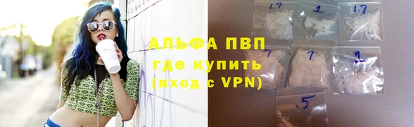 гидра Алексеевка