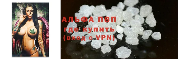 гидра Алексеевка