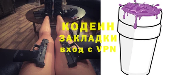 хмурый Алексин