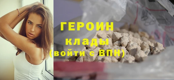 хмурый Алексин