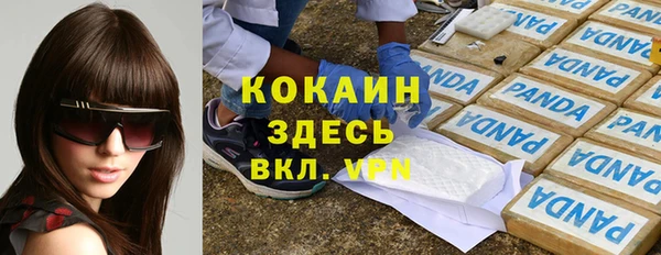гашик Алзамай