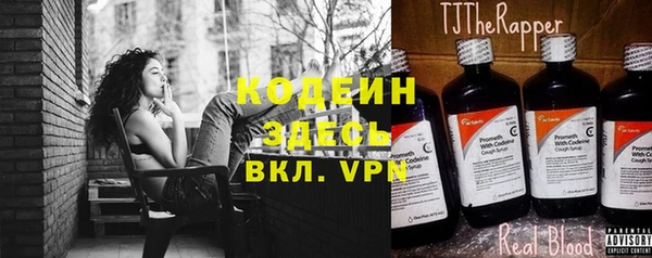 хмурый Алексин