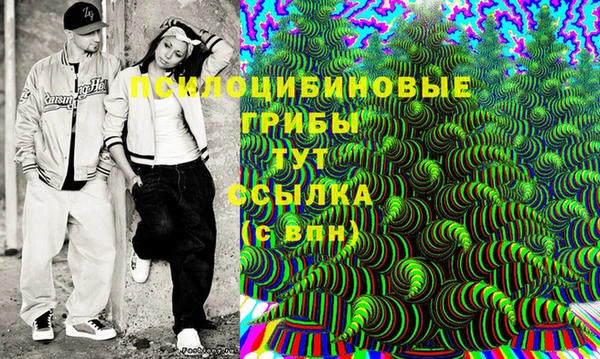 таблы Медвежьегорск