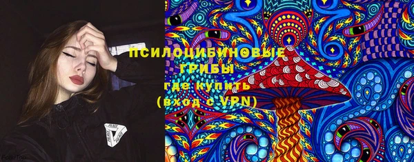хмурый Алексин
