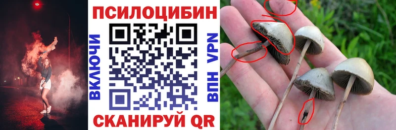 Галлюциногенные грибы мухоморы Брянск